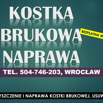 Ogłoszenie - Usuwanie plam z kostki brukowej, cennik tel. 504-746-203, Wrocław, Czyszczenie i wymiana kostki brukowej - Dolnośląskie