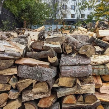 Ogłoszenie - Drewno łupane opałowe - 250,00 zł