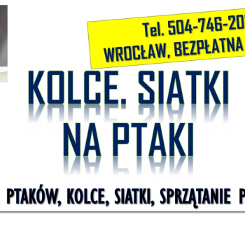 Ogłoszenie - Odstraszanie gołębi, Wrocław, tel. 504-746-203. Płoszenie ptaków, cena - Dolnośląskie
