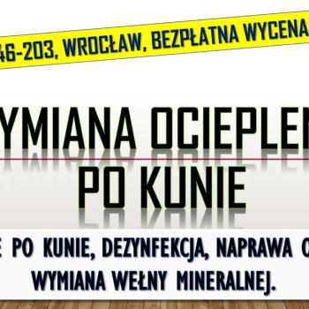 Ogłoszenie - Naprawa, ocieplenia, izolacji, tel. 504-746-203, Wrocław, po kunie, wełny mineralnej cena
