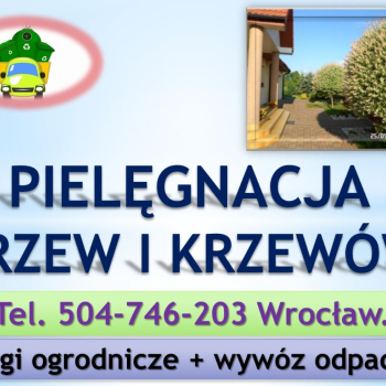Ogłoszenie - Koszenie działki, tel 504-746-203, przycięcie żywopłotu, tui, ogrodnik, cena Usługi koszenie zarośli, Wrocław - Wrocław