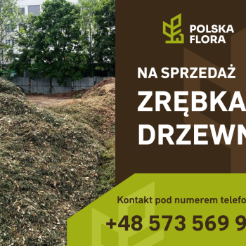 Ogłoszenie - Zrębki drzewne - Skawina - 40,00 zł