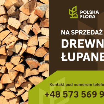 Ogłoszenie - Drewno łupane na opał - Bochnia - 250,00 zł