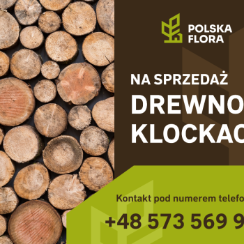 Ogłoszenie - Drewno opałowe cięte w kawałkach - Skawina - 150,00 zł