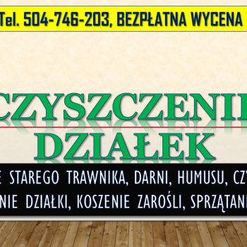 Ogłoszenie - Usunięcie starego trawnika, cennik, tel. 504-746-203. Wrocław, odnowienie, zarośli, krzaków. - Wrocław