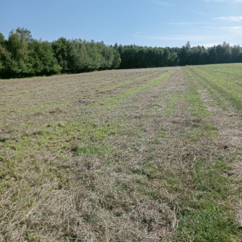 Ogłoszenie - Sprzedam gospodarstwo rolne - Wielkopolskie - 500 000,00 zł