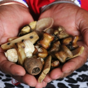 Ogłoszenie - SANGOMA ™ +27608019525™ A TRADITIONAL HEALER in Port Elizabeth, East London , East Rand , Elliot, Engcobo, Fort beaufort - Bielawa