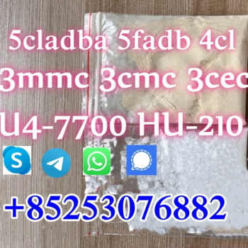 Ogłoszenie - 4CL 4fadb 4cladba 5cladba 5fabd SGT151 jwh018 SGT78 - Lubuskie