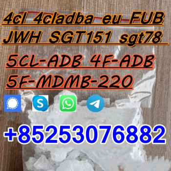 Ogłoszenie - sgt151 5CL 5fadba 5cladb 4fadb 4cladba JWH018 bmk pmk