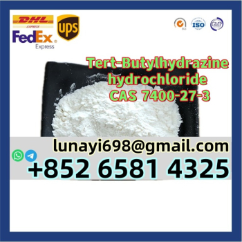 Ogłoszenie - Low Price and Good Quality CAS 7400-27-3 Tert-Butylhydrazine Hydrochloride - 10,00 zł