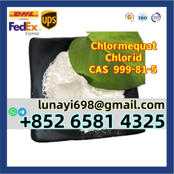 Ogłoszenie - High Purity Chlormequat Chloride Powder CAS 999-81-5 with Safe Delivery - 10,00 zł