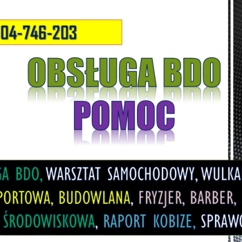 Ogłoszenie - Sprawozdanie BDO dla warsztatu samochodowego i wulkanizacji. Raport za odpady  Usługa, cena. - Dolnośląskie