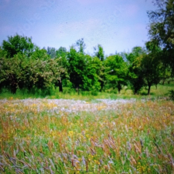 Ogłoszenie - Sprzedam działki - 290,00 zł