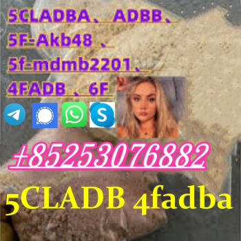 Ogłoszenie - 5CLADB 5cl-adb 5cl-ad-b-a 4f-mdma 2cl-adbb 6cladb 4cl-a-d-b 5cl-ADBB jwh