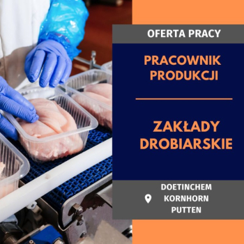 Ogłoszenie - Pracownik produkcji w zakładach drobiarskich - 450 € - 500 € netto/tydzień - Nie wymagamy doświadczenia! - Holandia