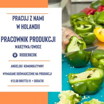 Ogłoszenie - Krojenie / pakowanie warzyw - 14,06 € brutto/h + dodatki zmianowe - Nie wymagamy doświadczenia !