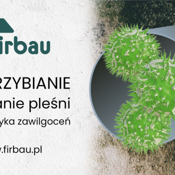 Ogłoszenie - ODGRZYBIANIE BUDYNKÓW USUWANIE PLEŚNI - Śląskie - 10,00 zł