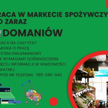 Ogłoszenie - Praca w markecie, Dino Polska S.A., Domaniów - Oleśnica