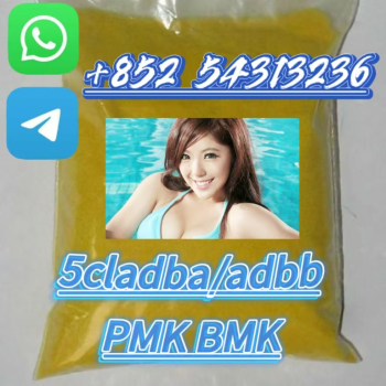 Ogłoszenie - 5CLADB supplier 5cladba precursor 5cladb adbb raw material +852 54313236 - 5,00 zł