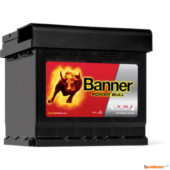 Ogłoszenie - Akumulator 50Ah 450A Banner Power Bull - Włocławek - 300,00 zł