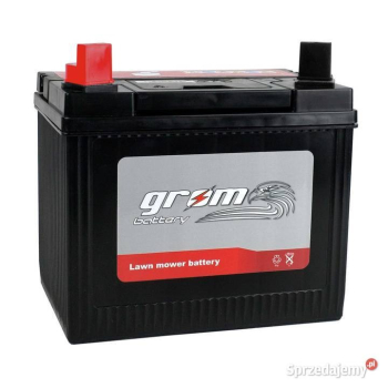 Ogłoszenie - Akumulator 12V 29Ah L+ Grom U1 - Piotrków Trybunalski - 149,00 zł