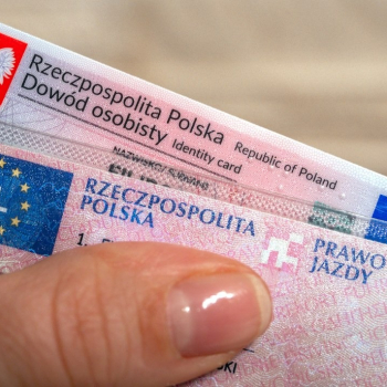 Ogłoszenie - Kup legalne prawo jazdy online - Lubuskie - 2 000,00 zł