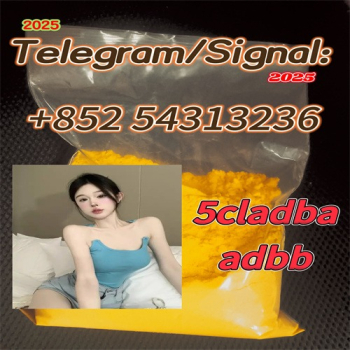 Ogłoszenie - Eutylone 5CL-ADB powder 5cladba,adbb,5cladb +852 54313236 - Wielkopolskie - 15,00 zł