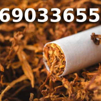 Ogłoszenie - Tytoń na wagę PREMIUM 85 PLN / 1KG - 85,00 zł