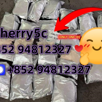 Ogłoszenie - strongest effect 5CL-ADB supplier 5cladba 5cladb ,no effect resend money - Kujawsko-pomorskie - 1 600,00 zł