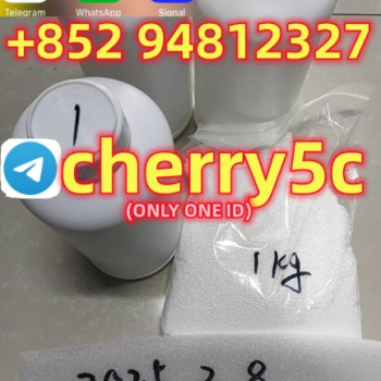 Ogłoszenie - 5cladba ,5CLADBA,5cl-adba,adbb,ADBB,strongest - 1 600,00 zł