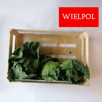 Ogłoszenie - Sprzedam skrzynki drewniane do kapusty - Wielkopolskie - 4,49 zł