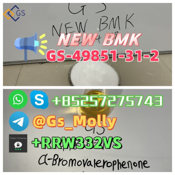 Ogłoszenie - High Quality NEW GS BMK Glycidic Acid (sodium salt) CAS 49851-31-2 - 340,00 zł