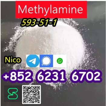 Ogłoszenie - CAS 593-51-1 Methylamine hydrochloride CAS 593-51-1 Метиламин гидрохлорид - Śląskie - 30,00 zł
