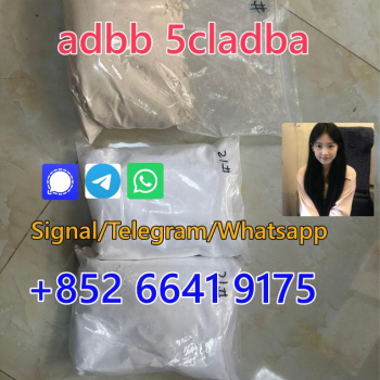 Ogłoszenie - High purity  5cladba 6cladba 5cl 6cl high and fast delivery - 380,00 zł