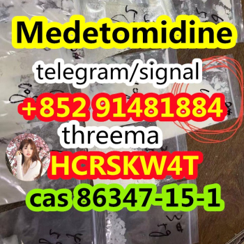 Ogłoszenie - wholesale Medetomidine cas 86347-15-1 - 10,00 zł