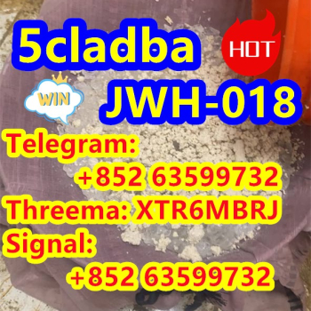 Ogłoszenie - 5cladba adbb Precursor 5cladba ADBB - Lubelskie - 320,00 zł