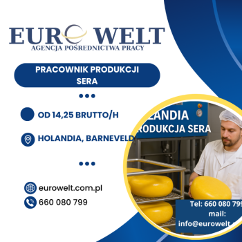 Ogłoszenie - Holandia/ Produkcja sera/ od zaraz - Holandia - 60,00 zł