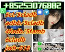 Ogłoszenie - good quality 4fadb 5cladba 6cladbb fast shipping - 5,00 zł