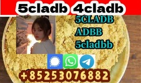 Ogłoszenie - factory price 4cladba 5cladbb good quality - 5,00 zł