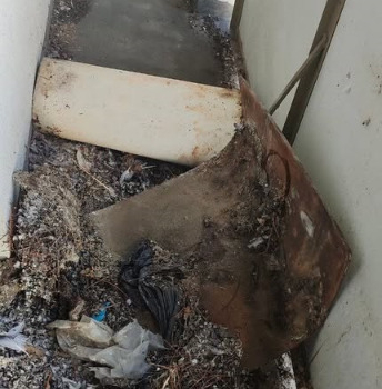 Ogłoszenie - siatka na gołębie dla kota czyszczenie po gołębiach - Opole - 1,00 zł