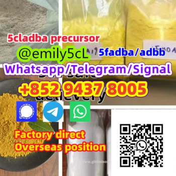 Ogłoszenie - 5cladba raw material 5CL-ADB-A precursor raw 5cladba 5f adb 4fadb CAS 584087 K2CO3 CAS 68-12-2 DMF - 100,00 zł
