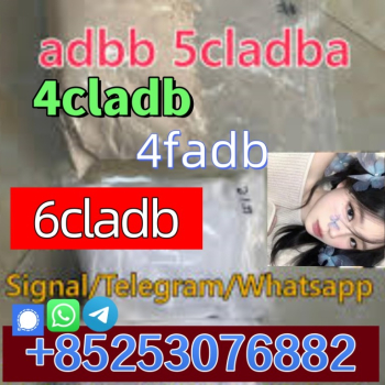 Ogłoszenie - fast shipping 5cladb 6cladb 4fadborange powder 4cladb - 5,00 zł