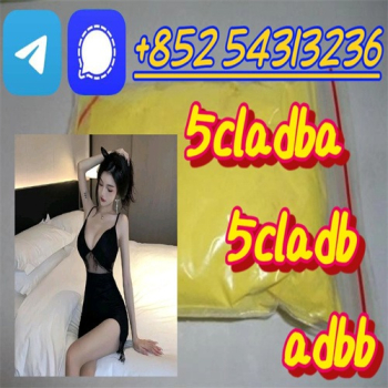 Ogłoszenie - Fast Delivery 5cladb,CAS 1119-51-3,5CLADBA,ADBB +852 54313236 - Bielawa - 10,00 zł