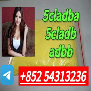 Ogłoszenie - Strong effect 5CLADB ADBB Yellow powder strong potency +852 54313236 - Bielawa - 10,00 zł
