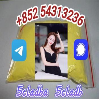 Ogłoszenie - Hot sale 5cladba precursor (semi finished ) 5cladba raw materials ADBB precursor (semi finished ) ADBB +852 54313236 - Bielawa - 10,00 zł