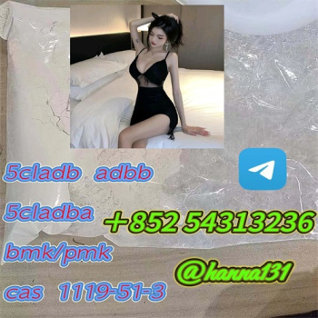Ogłoszenie - Factory Supply 5-Bromo-1-Pentene CAS 1119-51-3,5cladb,5cladba +852 54313236 - Bolesławiec - 15,00 zł