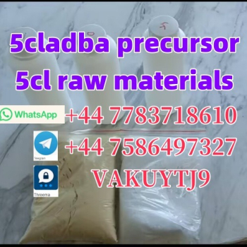 Ogłoszenie - Sample avalible 5cladba powder door to door service 5CLADBA - 10,00 zł