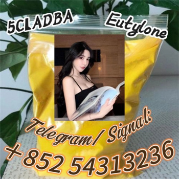 Ogłoszenie - Free sample pmk powder 5CLADB,5cladba,cas 1119-51-3 pmk oil +852 54313236 - Chełm - 20,00 zł