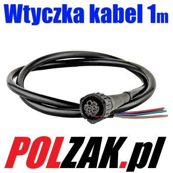 Ogłoszenie - Wtyczka Lampy kostka wiązka tył 6 pinowa Iveco Daily Fiat Ducato Peugeot Boxer Citroen Jumper Renault Master Opel Movano - 40,00 zł