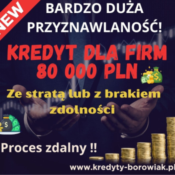 Ogłoszenie - Kredyt dla FIRM 80 000 PLN ze stratą/z brakiem zdolności - BARDZO DUŻA PRZYZNAWALNOŚĆ! - Pomorskie